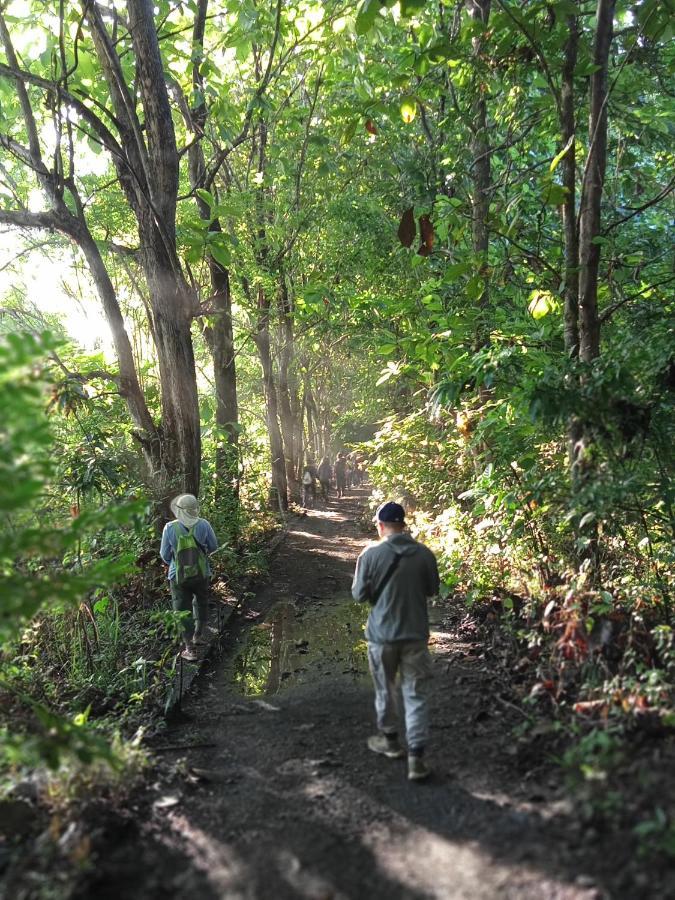 Tangkoko Lodge Bitung Luaran gambar